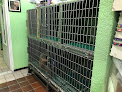 Conoce a 3532 Sandra Salgado Ortiz Veterinarian