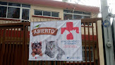Conoce a Atención Medico Veterinaria Hospital De Especialidades
