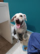 Conoce a Bonvet Clínica Veterinaria
