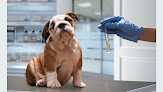 Conoce a Centro MÉdico Veterinario MÉxico