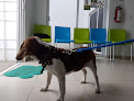 Conoce a Centro Veterinario De Especialidades 24 Hrs