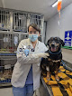 Conoce a Centro Veterinario Granados