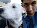 Conoce a Centro Veterinario Los Reyes