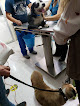 Conoce a Centro Veterinario Omega