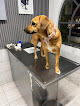 Conoce a Centro Veterinario Parque San Andrés