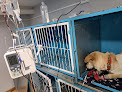 Conoce a Centro Veterinario Tlatelolco 1.0