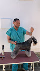 Conoce a Clinica Animal