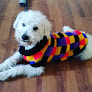 Conoce a Clínica Veterinaria 24 Horas