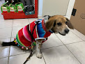 Conoce a Clínica Veterinaria Coyoacán