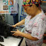 Conoce a Clínica Veterinaria Derm&pet