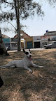 Conoce a Clínica Veterinaria Iztapalapa