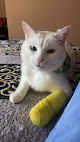 Conoce a Clínica Veterinaria Nahui