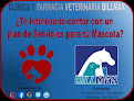 Conoce a Clínica Y Farmacia Veterinaria Billmax