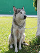 Conoce a Dr José Antonio. Clínica Para Mascotas. Servicio Veterinario Integral