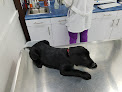Conoce a Hospital De Especialidades Veterinarias San Jerónimo