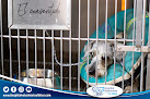 Conoce a Hospital Veterinario Albiter