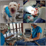 Conoce a Hospital Veterinario Can & Cat
