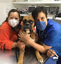 Conoce a Hospital Veterinario De Especialidades Bruselas