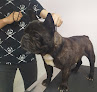 Conoce a Hospital Veterinario Del Sur