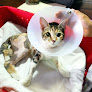 Conoce a Hospital Veterinario Imagen