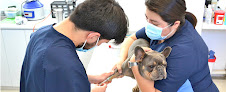 Conoce a Hospital Veterinario Westcare Polanco