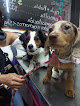 Conoce a Mon Petit Veterinaria