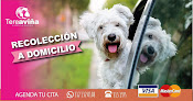 Conoce a Tereaviña Estética Canina