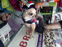 Conoce a Vet Pet