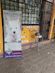 Conoce a Veterinaria Bastet