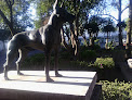 Conoce a Veterinaria Cu