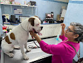 Conoce a Veterinaria Integral Del Oriente