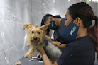 Conoce a Veterinaria Mikan