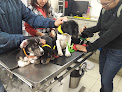 Conoce a Veterinaria San Francisco De Asis