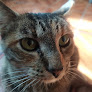 Conoce a Veterinaria Vet-can