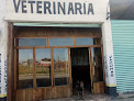 Conoce a Veterinaria Y Estetica Canina el Buitre